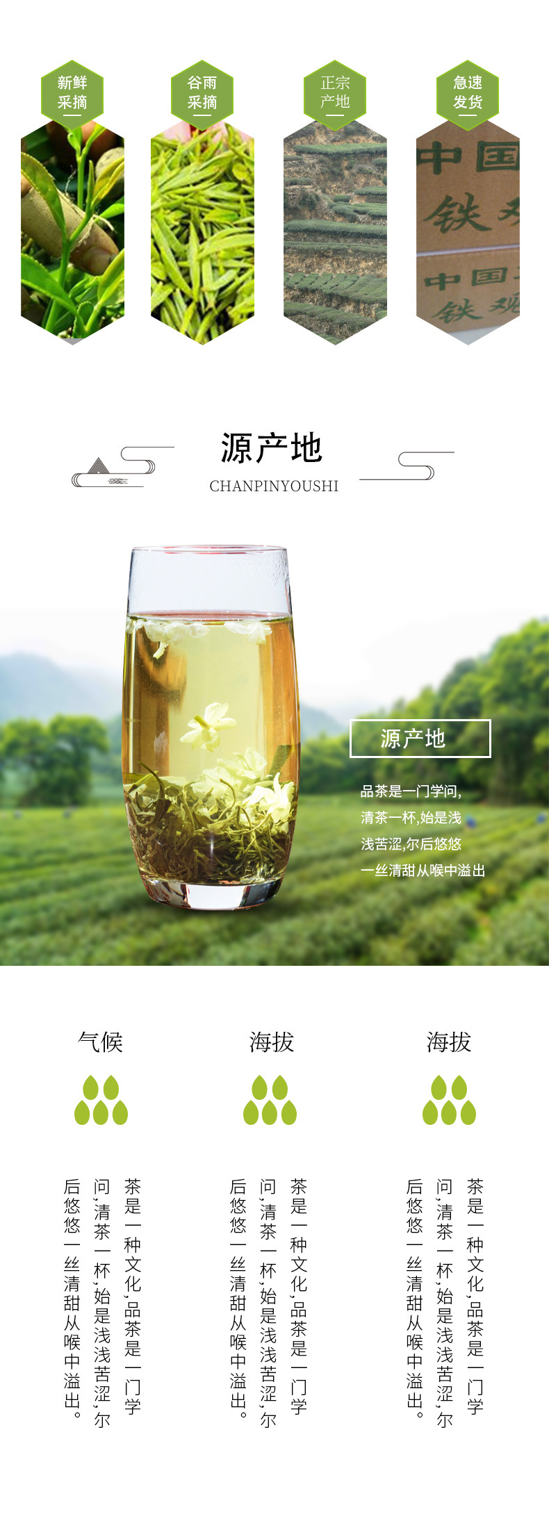 Anxi Tieguanyin Oolong Tea – Loose Leaf Iron Goddess of Mercy - MetaChi